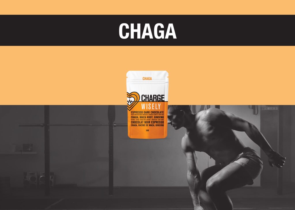 1 WISELY BLOGS JUNIO wisely functional mushroom adaptogenic chocolate charge chaga
