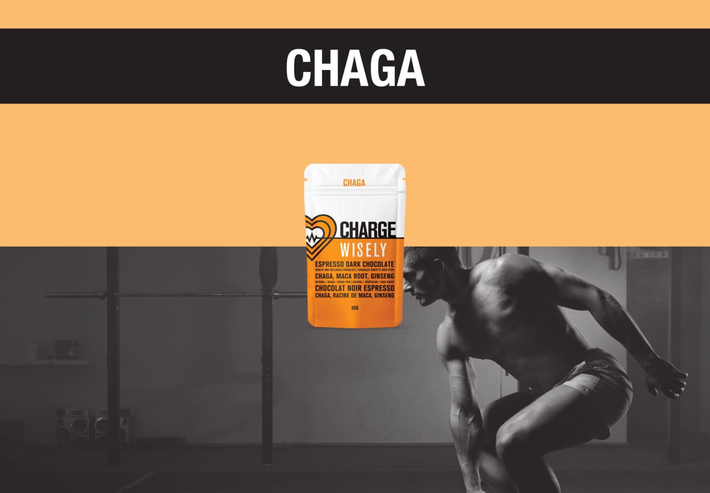 1 WISELY BLOGS JUNE wisely functional mushroom adaptogenic chocolate charge chaga