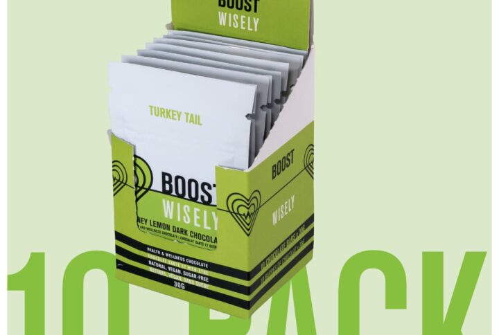 wisely functional mushroom adaptogenic chocolate boost turkeytail 10P 01