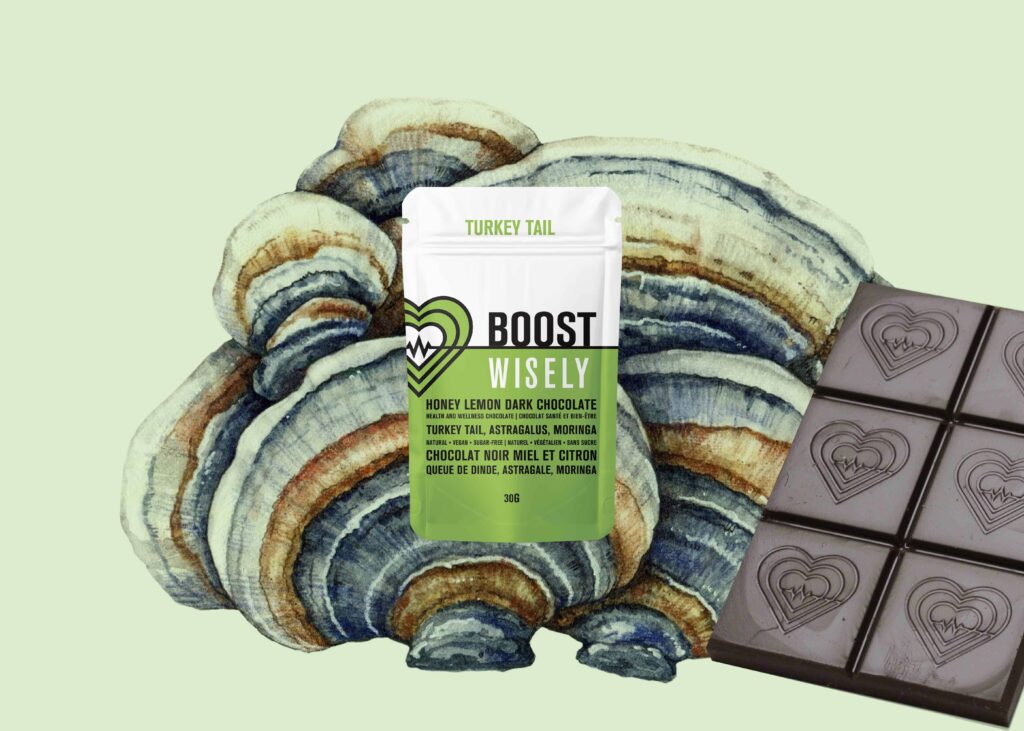 wisely functional mushroom adaptogenic chocolate boost turkeytail 2