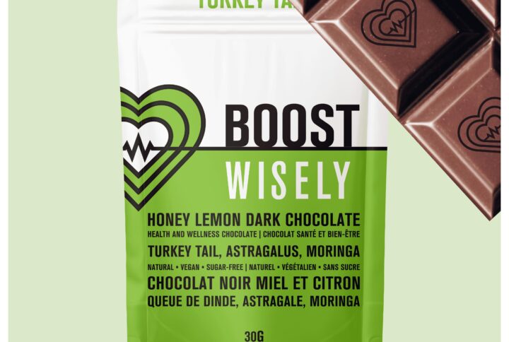 wisely functional mushroom adaptogenic chocolate boost turkeytail product 01