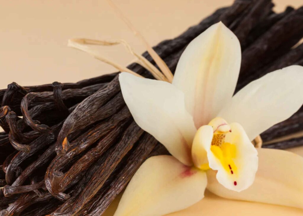 una flor junto a unas ramitas de vainilla