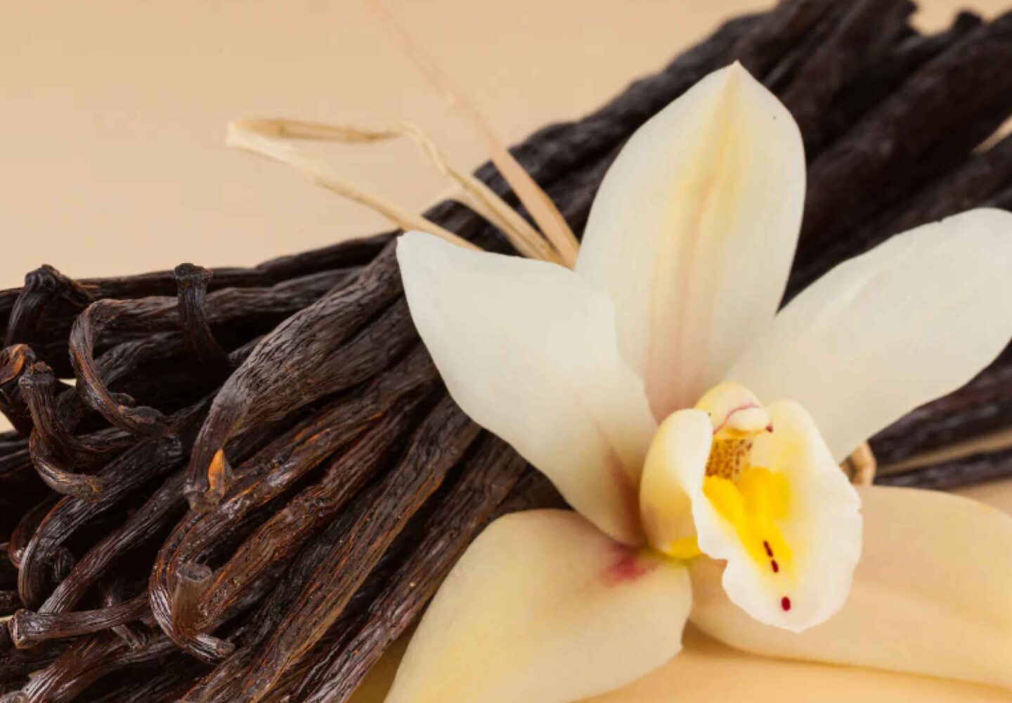 a flower next to vanilla sticks