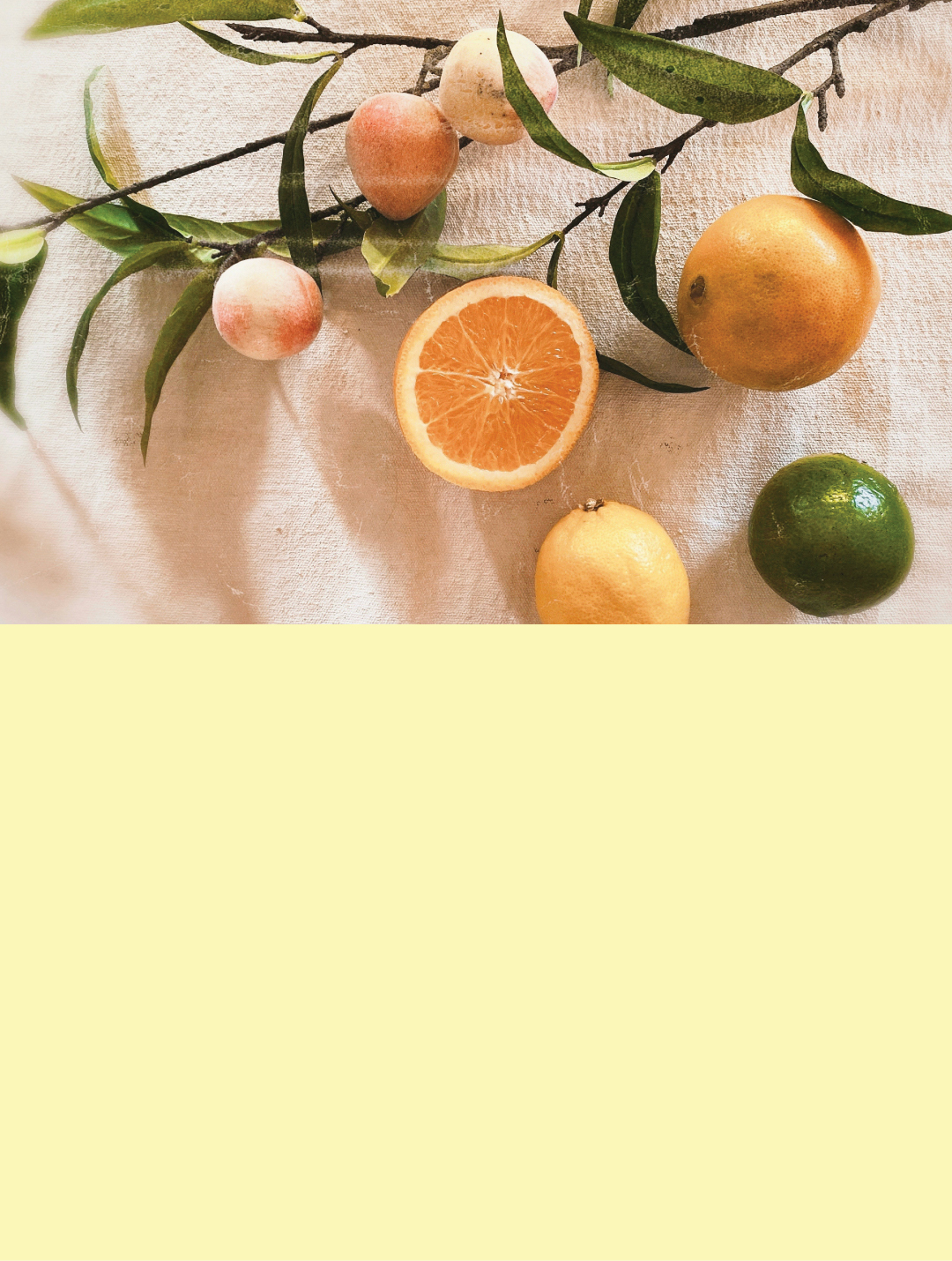 Home 40 Banner Image