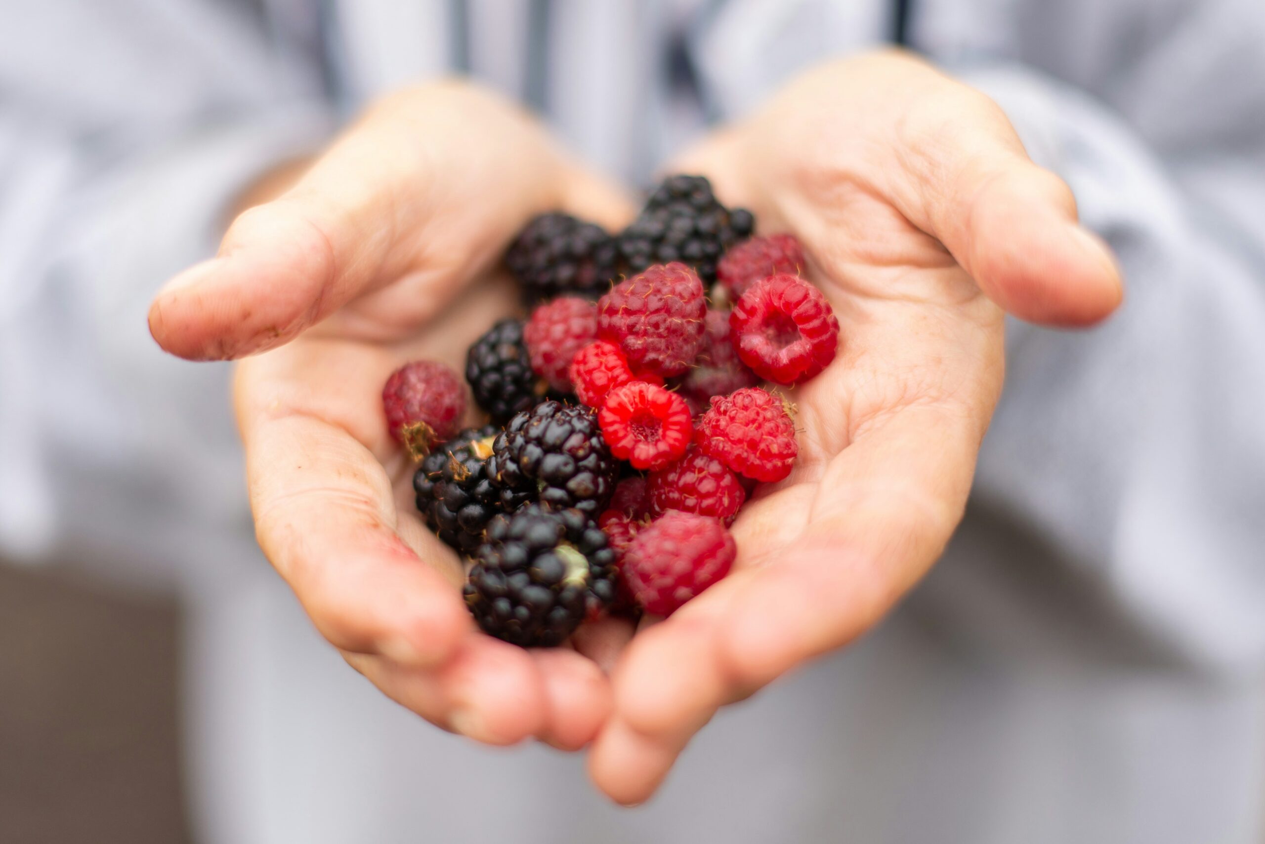 a person holding a handful of berries