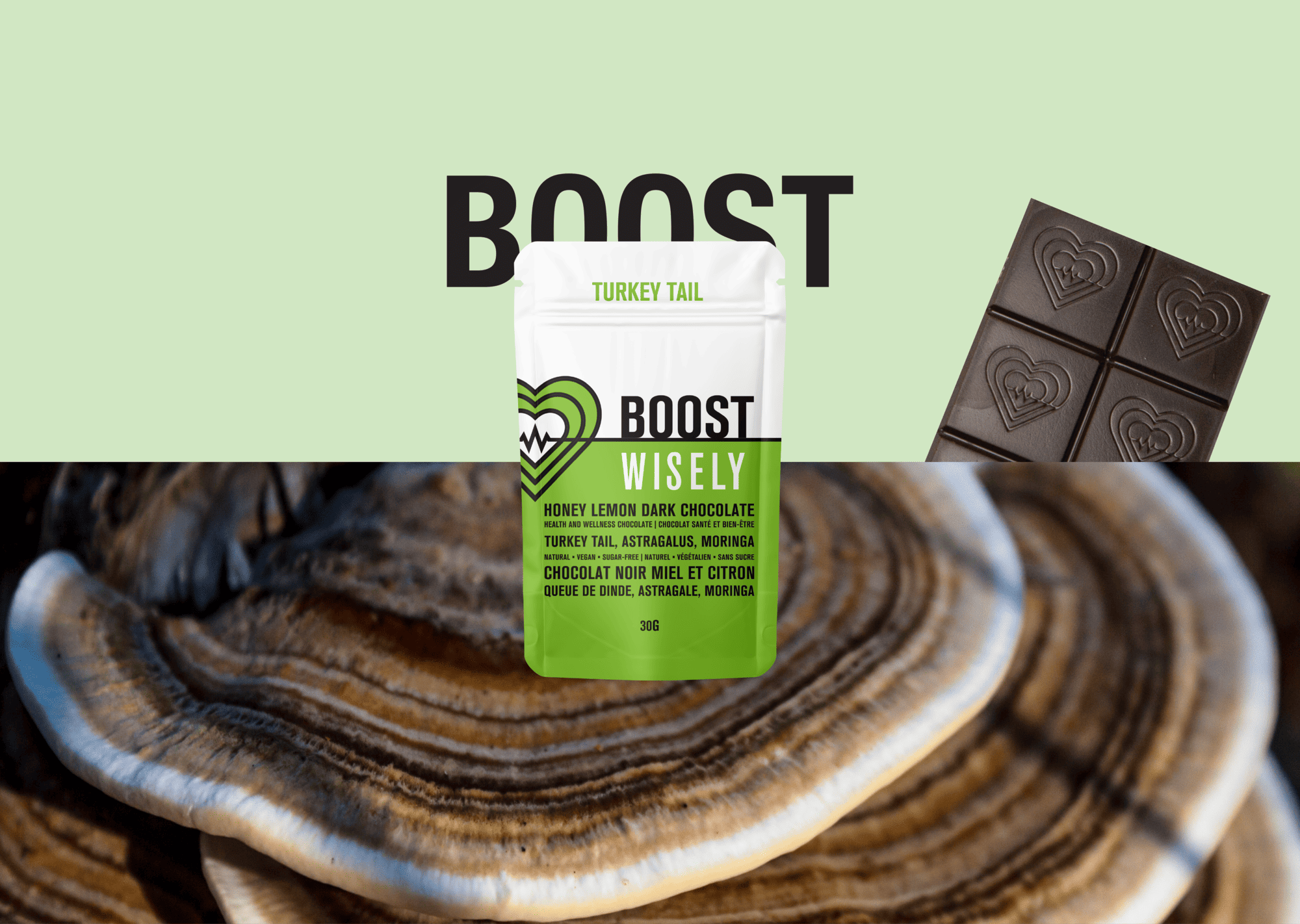 wisely functional mushroom adaptogenic chocolate boost turkeytail 001