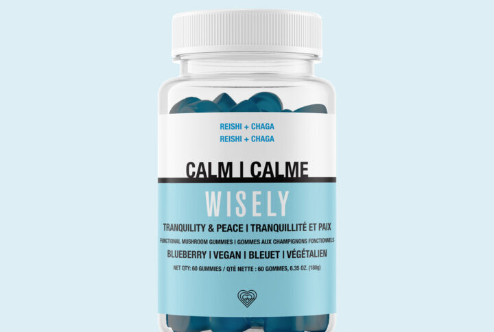 calm gummy blueberry reishi chaga tranquility 01
